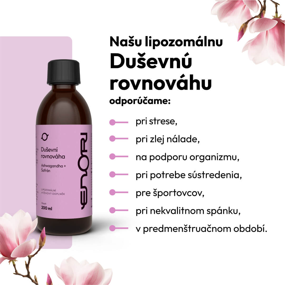 Dusevna rovnovaha